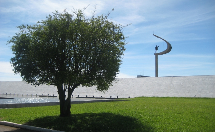 SER CIDADÃO? …o que isto tem a ver com as árvores de Brasília?